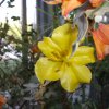 Botanischer Garten